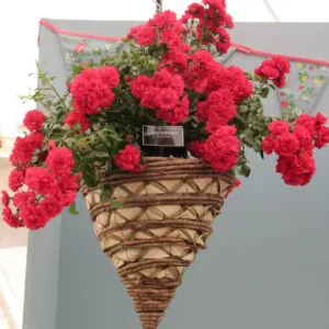 Lancashire Lancashire