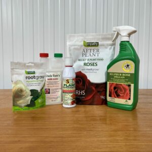 Essential Aftercare Starter Pack